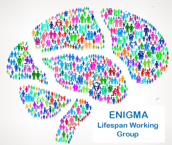ENIGMA Lifespan Logo