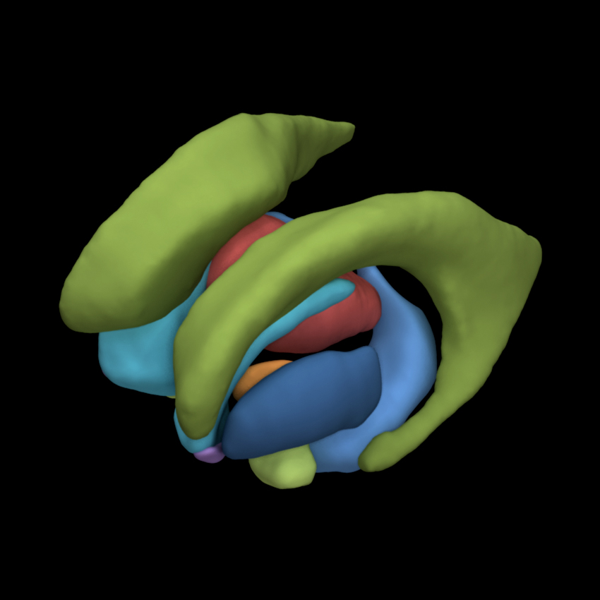 ENIGMA2 GWAS of seven subcortical structures