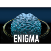 ENIGMA-MDD «  ENIGMA